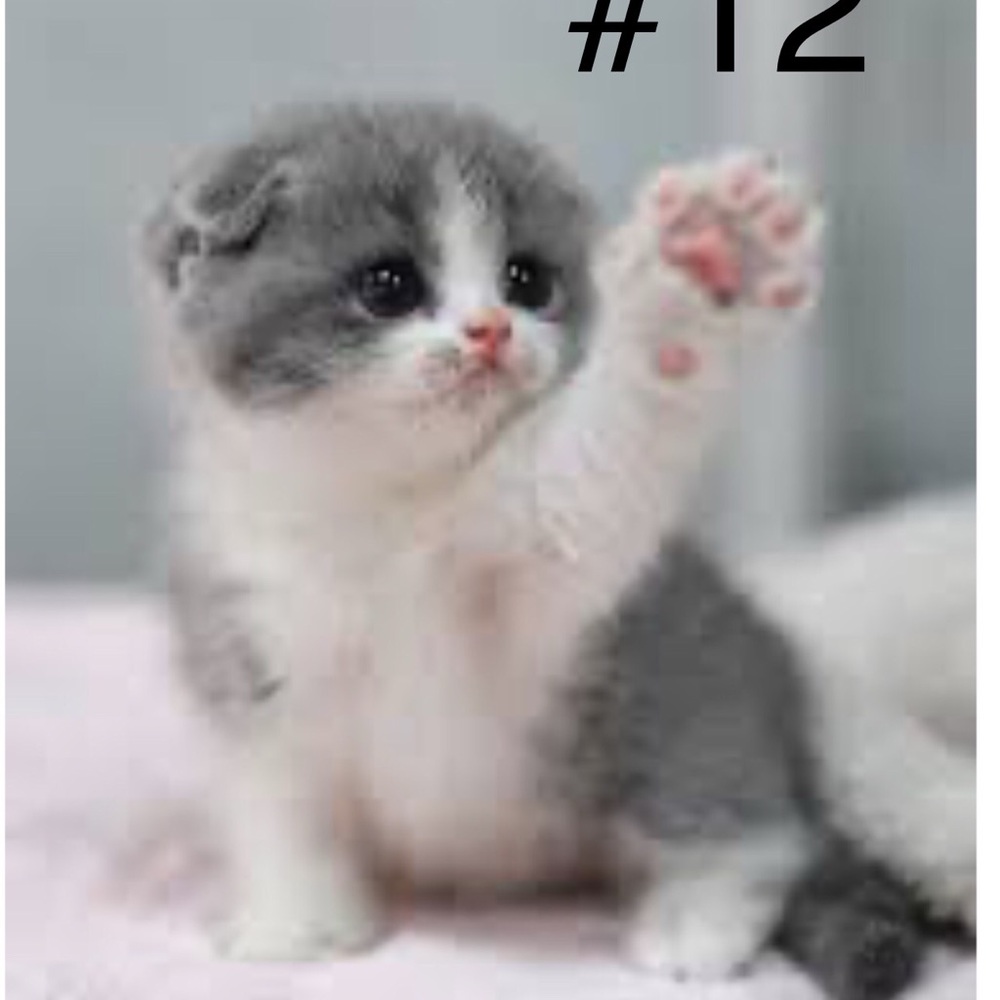 FOR STACY